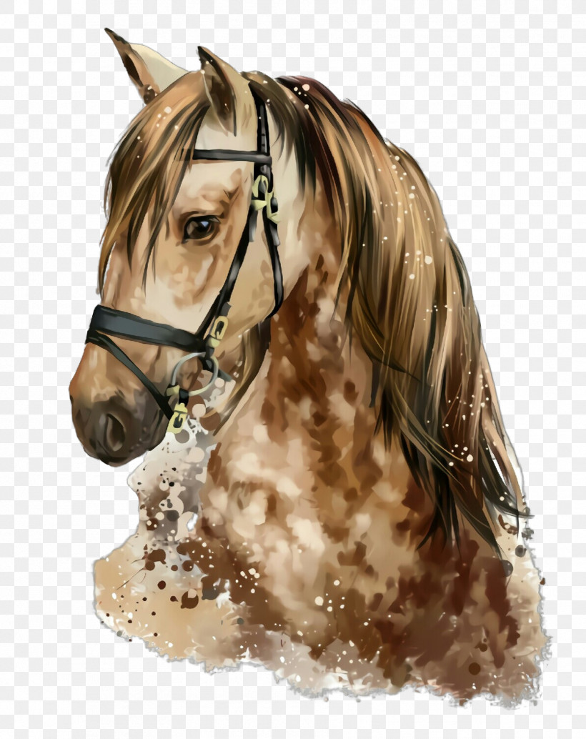 Horse Hair Mane Stallion Bridle, PNG, 1779x2244px, Horse, Animal Figure, Bridle, Brown, Drawing Download Free