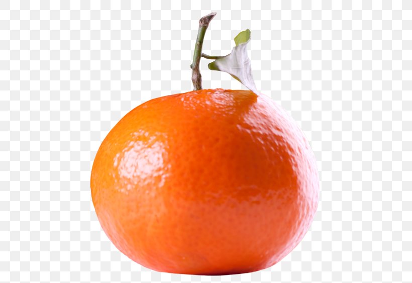 Tangerine Mandarin Orange Clementine Tangelo, PNG, 500x563px, Tangerine, Bitter Orange, Cempedak, Citric Acid, Citrus Download Free