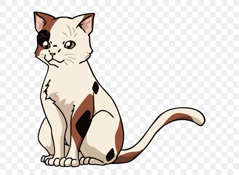 Cat Whiskers The Melancholy Of Haruhi Suzumiya Kyon Mikuru Asahina, PNG, 600x600px, Cat, Calico Cat, Carnivoran, Cat Like Mammal, Dog Like Mammal Download Free