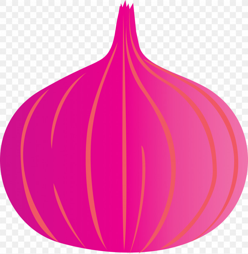 Onion, PNG, 2922x3000px, Onion, Biology, Flower, Geometry, Leaf Download Free