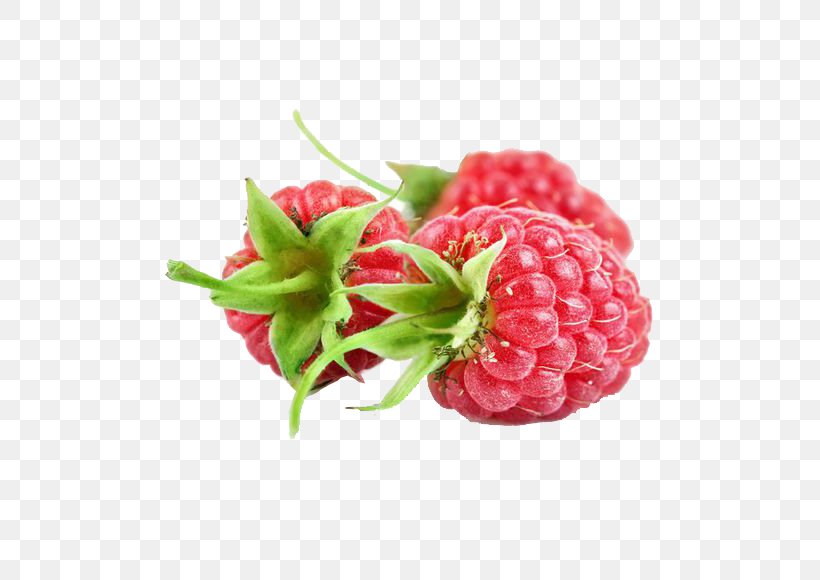 Red Raspberry Fruit Extract Jostaberry, PNG, 580x580px, Red Raspberry, Berry, Food, Fruit, Frutti Di Bosco Download Free
