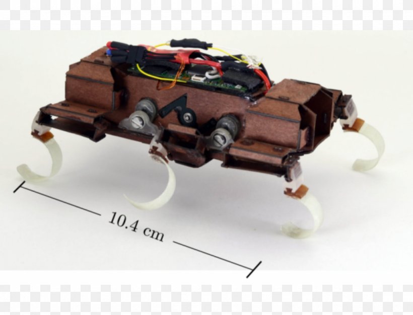 Self-reconfiguring Modular Robot Machine Speed Cockroach, PNG, 1024x782px, Robot, Cockroach, Discussion, Distance, Ieee Spectrum Download Free