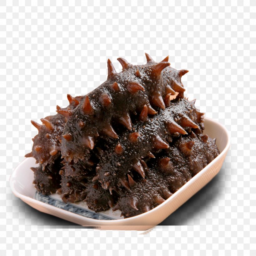 Shandong Sea Cucumber As Food Seafood, PNG, 1000x1000px, Shandong, Abalone, Animal Source Foods, Chocolate Brownie, Cucumber Download Free
