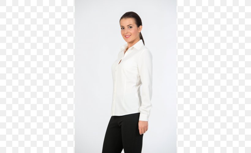 Blouse Dress Shirt Collar Sleeve Shoulder, PNG, 600x500px, Blouse, Clothing, Collar, Dress Shirt, Formal Wear Download Free