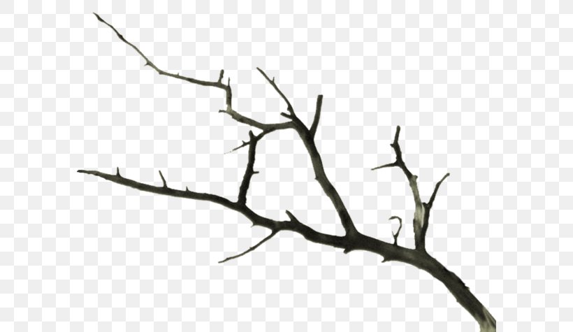 Twig Branch Tree Dream, PNG, 600x475px, Twig, Artwork, Autumn, Black And White, Blog Download Free