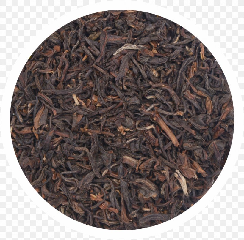 Assam Tea Dianhong Nilgiri Tea Golden Monkey Tea, PNG, 866x854px, Assam Tea, Bancha, Black Tea, Camellia Sinensis, Ceylon Tea Download Free