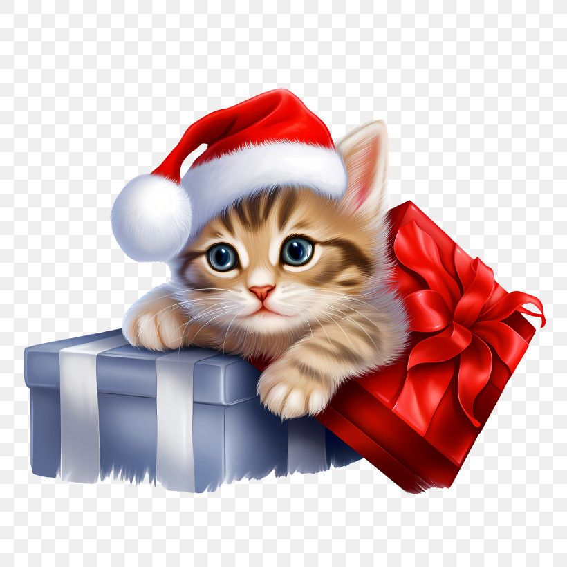Christmas Cat - Festive Kitten In Christmas Gift Box PNG