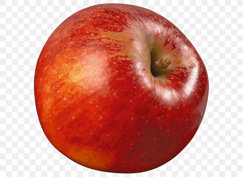 McIntosh Red Elstar Apples Belle De Boskoop, PNG, 600x600px, Mcintosh Red, Apple, Apples, Belle De Boskoop, Elstar Download Free