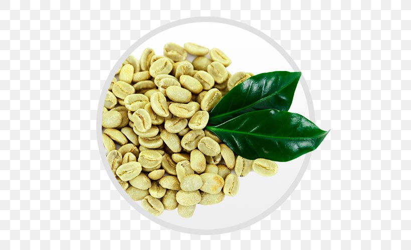 Green Coffee Extract Coffee Bean Robusta Coffee, PNG, 500x500px, Coffee, Bean, Coffee Bean, Commodity, Dietary Supplement Download Free