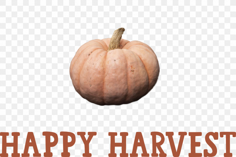 Happy Harvest Harvest Time, PNG, 3000x2000px, Happy Harvest, Calabaza, Fruit, Gourd, Harvest Time Download Free