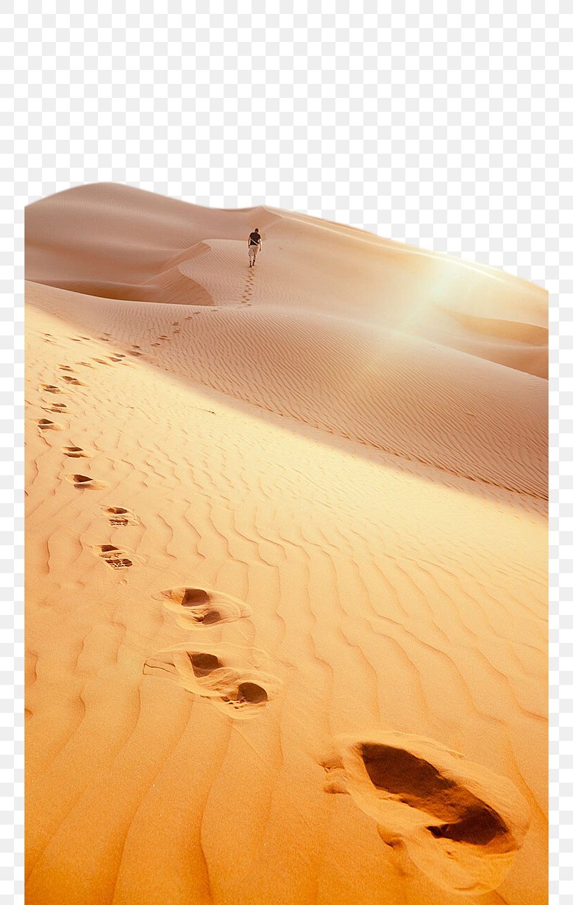 Liwa Oasis Great Sand Sea Footprint Desert, PNG, 750x1295px, Liwa Oasis, Aeolian Landform, Beach, Desert, Dune Download Free