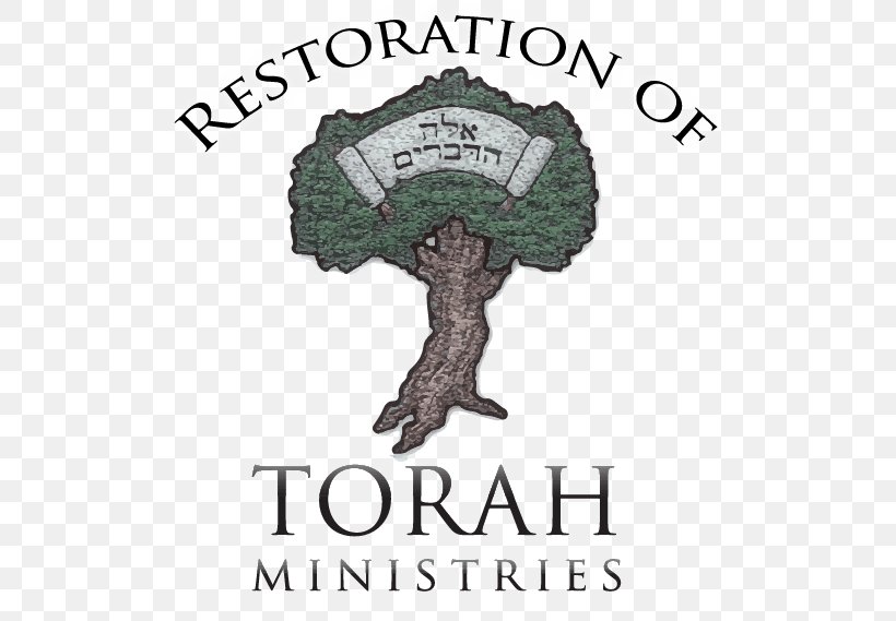 Weekly Torah Portion Devarim Ki Tissa Re'eh, PNG, 526x569px, Weekly Torah Portion, Brand, Child, Hebrew Language, Homeschooling Download Free
