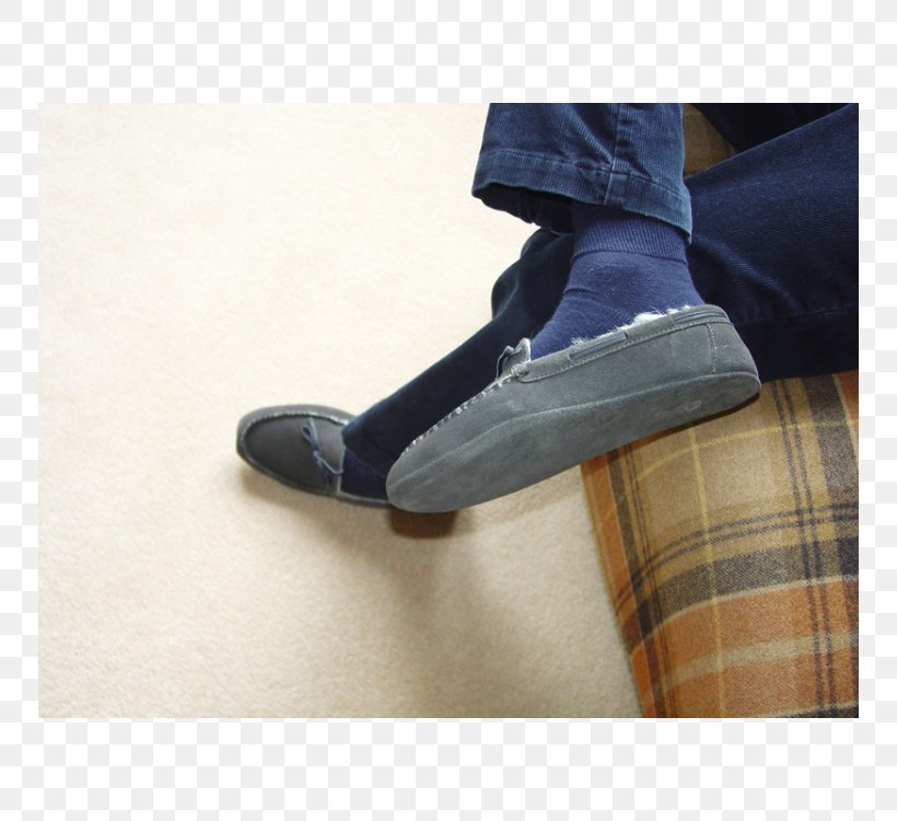 Shoe Footwear Sandal Boot Ankle, PNG, 750x750px, Shoe, Ankle, Boot, Floor, Footwear Download Free