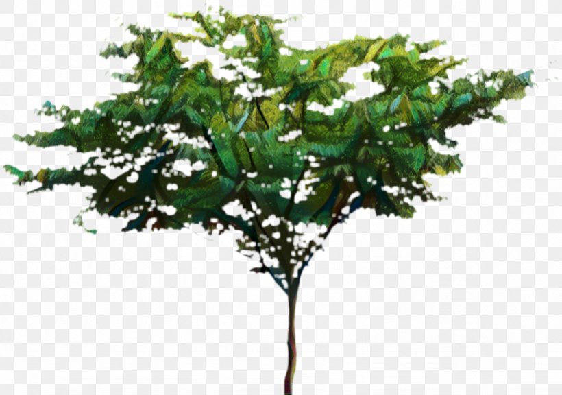 Tree Branch Silhouette, PNG, 821x577px, Tree, Branch, Flower, Leaf, Mock Orange Download Free