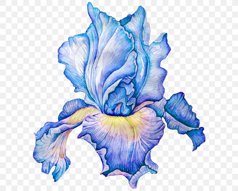 Flower Watercolor Painting Clip Art, PNG, 600x659px, Flower, Blue, Cut Flowers, Flowering Plant, Image Resolution Download Free