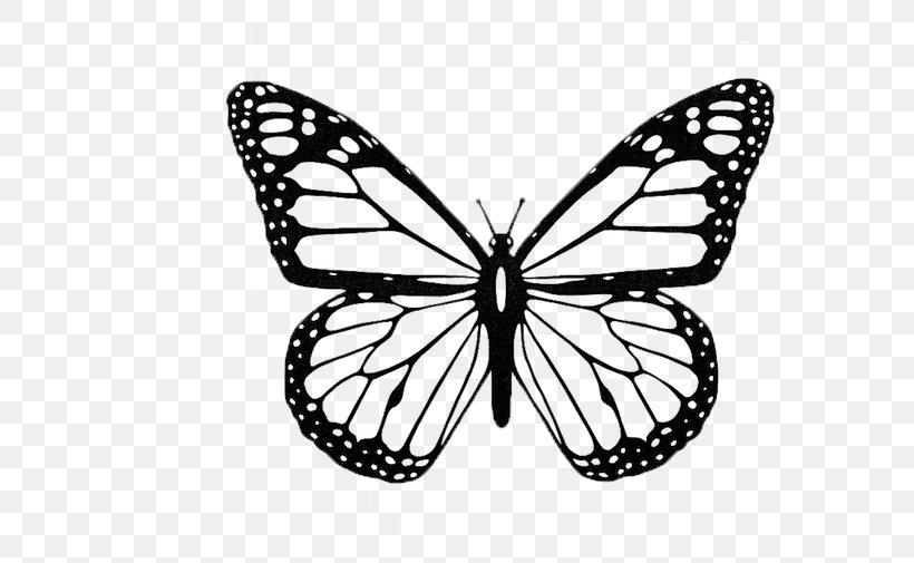 Monarch Butterfly Black And White Insect Clip Art, PNG, 700x505px, Butterfly, Arthropod, Black And White, Brush Footed Butterfly, Butterflies And Moths Download Free