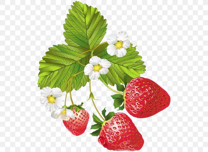 Strawberry Ice Cream Fruit Clip Art, PNG, 530x600px, Strawberry, Auglis, Berry, Cartoon, Food Download Free