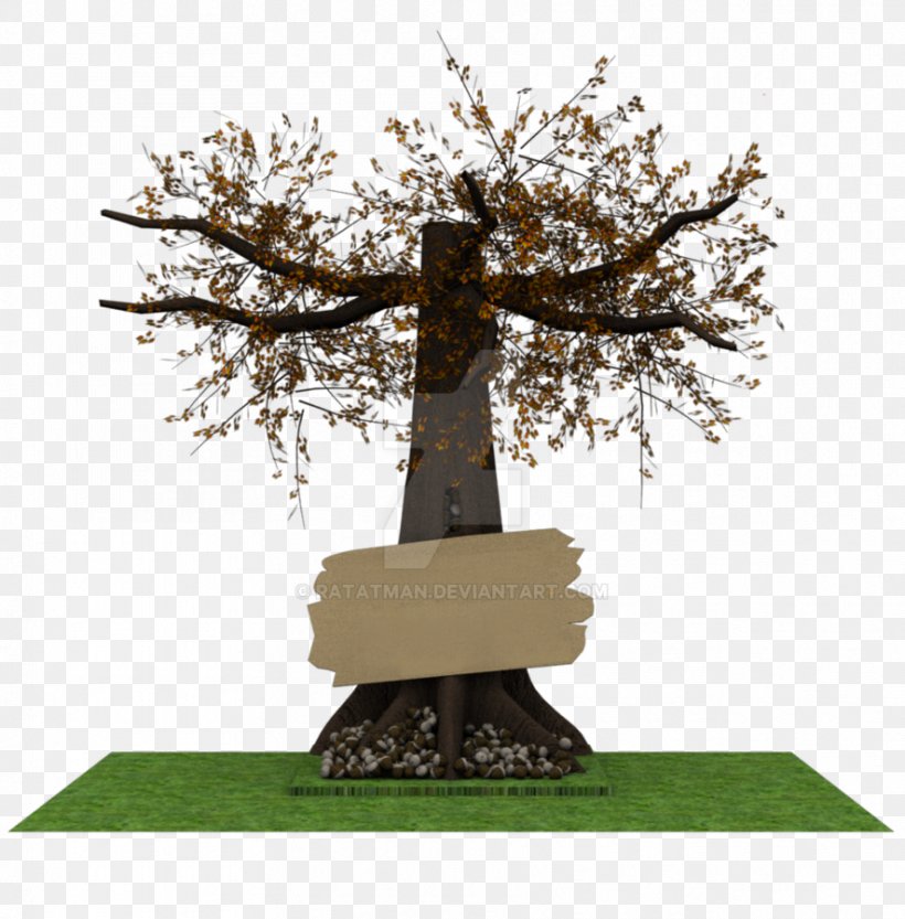 Monument Bonsai Memorial Branching, PNG, 886x901px, Monument, Bonsai, Branch, Branching, Houseplant Download Free