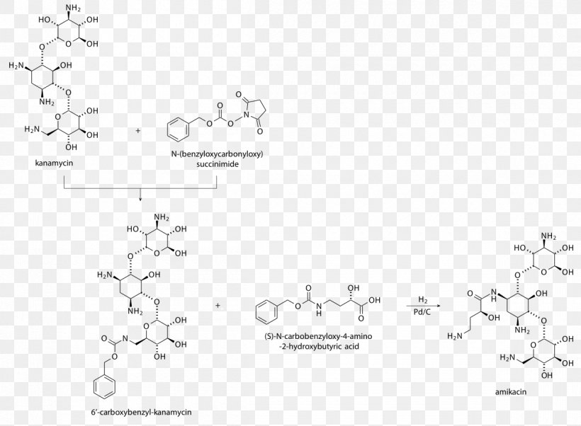 Amikacin Aminoglycoside Kanamycin A Antibiotics Capreomycin, PNG, 1200x881px, Watercolor, Cartoon, Flower, Frame, Heart Download Free