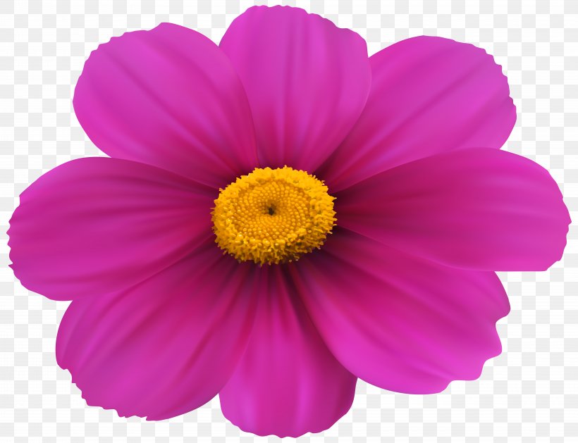 Magenta Flower Pink Rose Clip Art, PNG, 8000x6146px, Flower, Annual Plant, Chrysanths, Cosmos, Daisy Family Download Free
