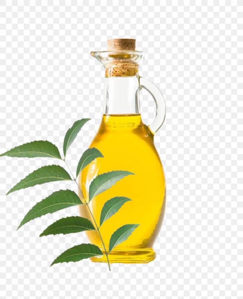 Neem Tree Neem Oil India Plant, PNG, 1000x1231px, Neem Tree, Azadirachta, Bottle, Cooking Oil, Essential Oil Download Free