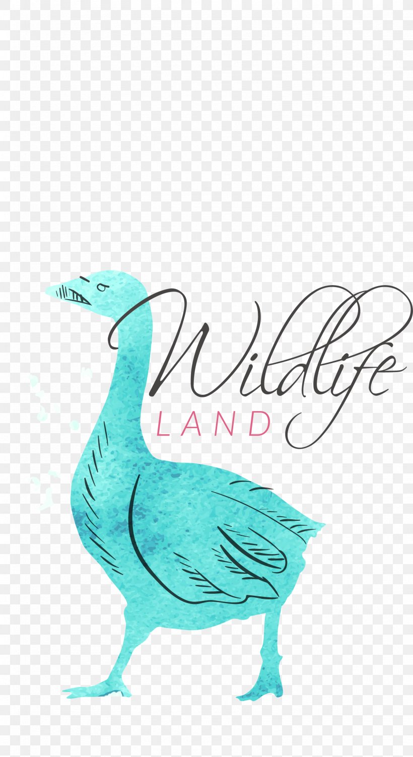 Watercolor Painting Logo Illustration, PNG, 1613x2958px, Watercolor Painting, Aqua, Art, Beak, Bird Download Free