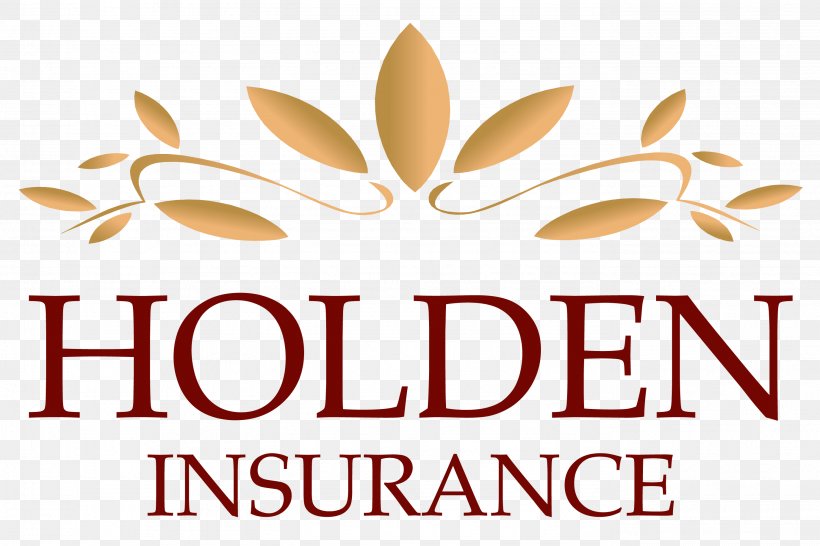 Business Lordos Beach Hotel Twin Falls Holden Financial Services, Inc., PNG, 2756x1837px, Business, Brand, Commodity, Flower, Holden Financial Services Inc Download Free