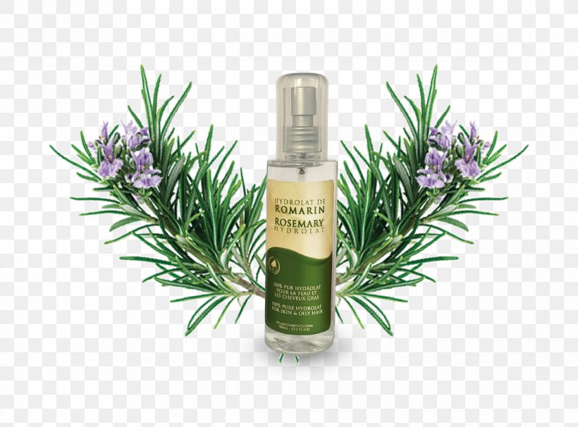 Herbal Distillate Rosemary Cosmetics Essential Oil, PNG, 1217x900px, Herbal Distillate, Capelli, Cosmetics, Cream, Essential Oil Download Free