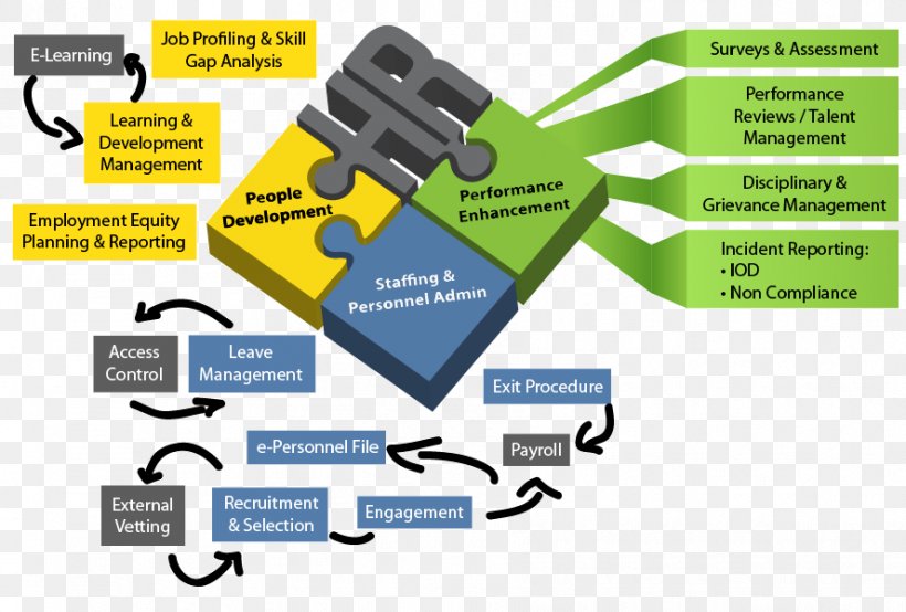 Human Resource Management Human Resource Management Business Workforce Management, PNG, 888x600px, Human Resource, Area, Brand, Business, Business Process Download Free