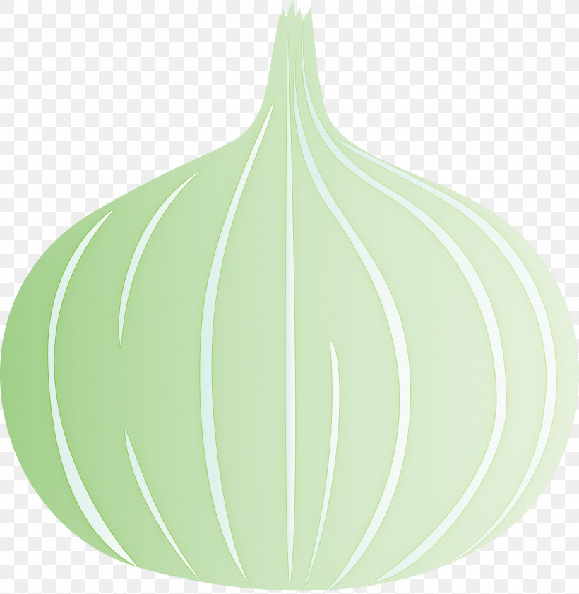 Onion, PNG, 2922x3000px, Onion, Biology, Geometry, Green, Leaf Download Free