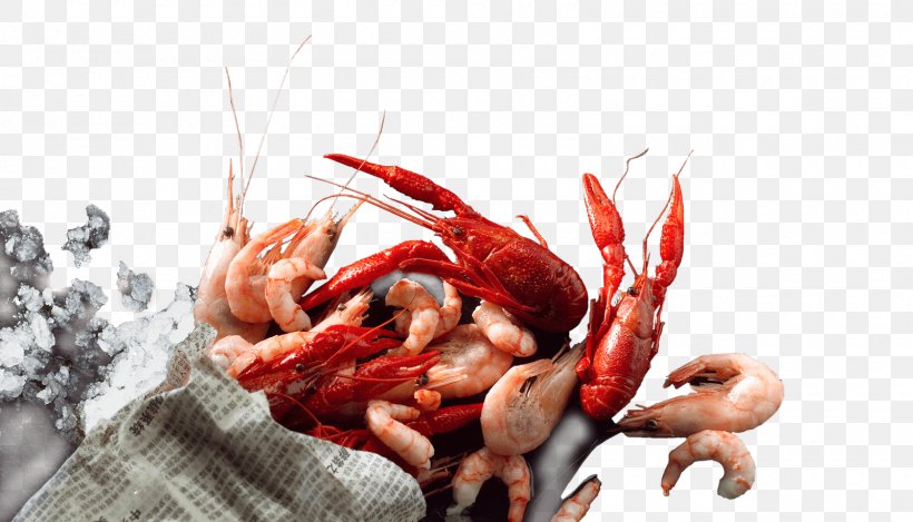 Rud. Kanzow GmbH & Co. KG Seafood Crayfish As Food, PNG, 1600x916px, Rud Kanzow Gmbh Co Kg, Animal Source Foods, Cold Chain, Crayfish As Food, Decapoda Download Free