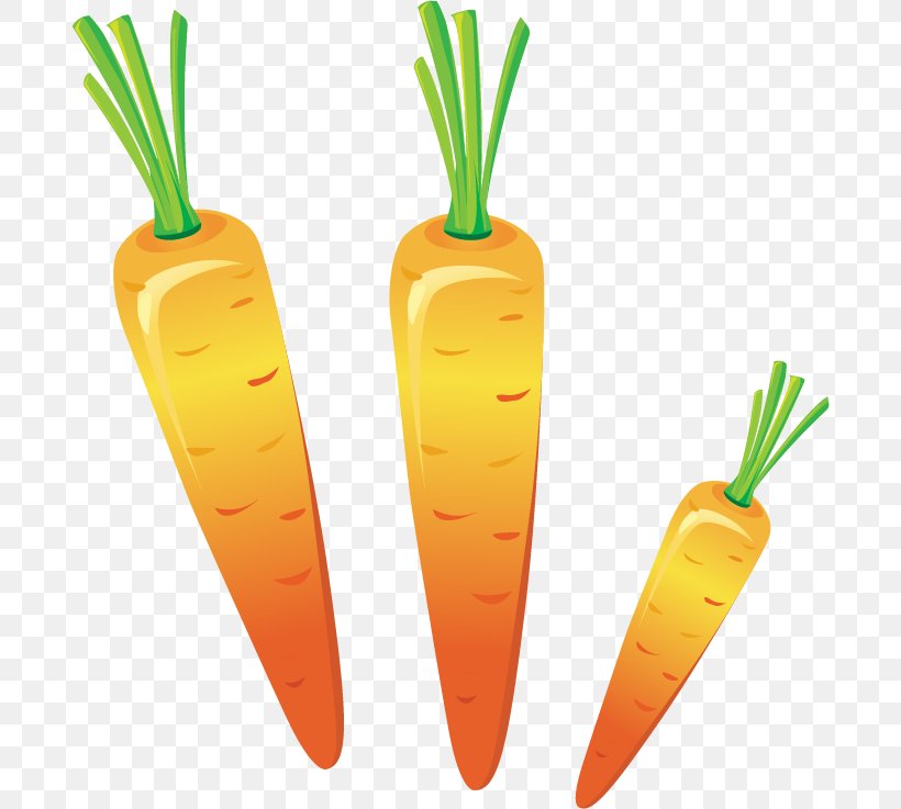 Carrot Clip Art, PNG, 690x737px, 3d Computer Graphics, Carrot, Carrot Creative, Carrot Juice, Clip Art Download Free