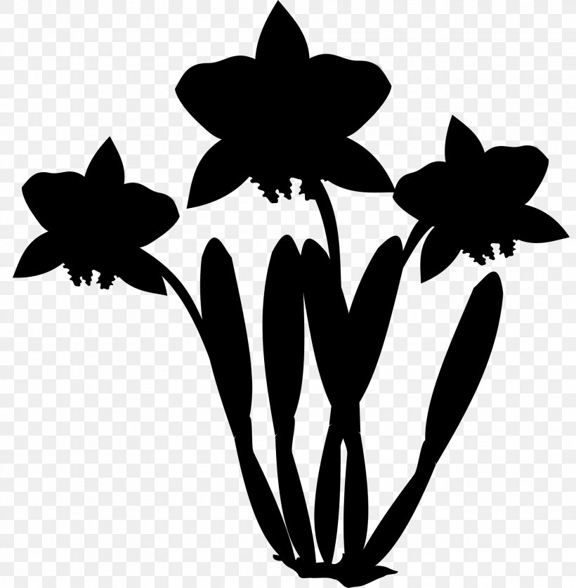 Clip Art Image, PNG, 1880x1920px, Orchids, Blackandwhite, Cattleya Orchids, Drawing, Flower Download Free
