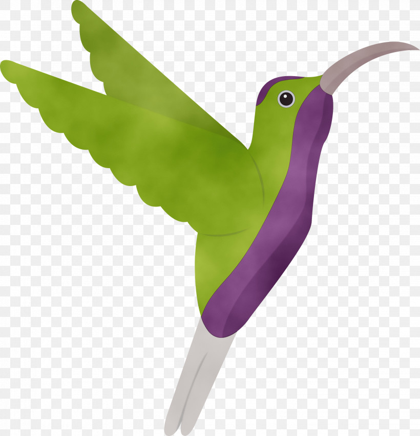 Feather, PNG, 2881x3000px, Cartoon Bird, Beak, Cute Bird, Feather, Hummingbirds Download Free