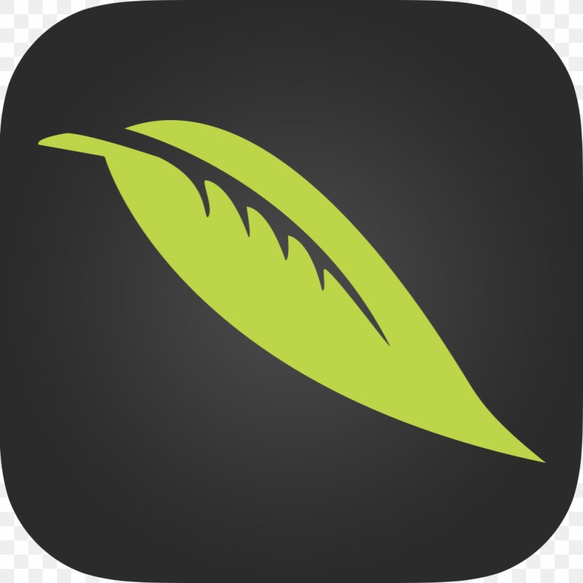 .ipa Yerba Buena Download, PNG, 1024x1024px, Ipa, Adidas, Leaf, Plant, Review Download Free