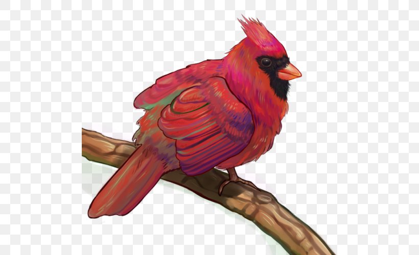 Loriini Fauna Beak Feather, PNG, 500x500px, Loriini, Beak, Bird, Cardinal, Fauna Download Free