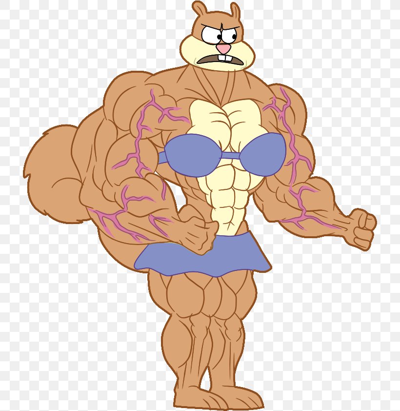 Sandy Cheeks Starfire Muscle Female Animation, PNG, 726x842px, Watercolor, Cartoon, Flower, Frame, Heart Download Free