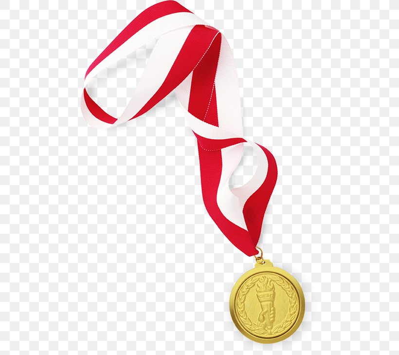 Silver Medal Download Clip Art, PNG, 491x729px, Medal, Animaatio, Gold, Material, Metal Download Free