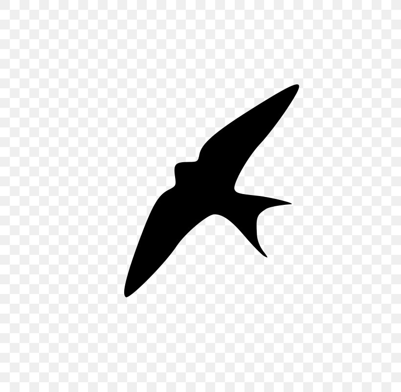 Swallow Bird Clip Art, PNG, 800x800px, Swallow, Barn Swallow, Bird, Bird Flight, Black Download Free