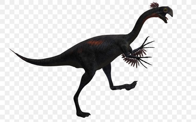 Velociraptor Tyrannosaurus Spinosaurus Gigantoraptor Deinonychus, PNG, 1200x749px, Velociraptor, Carnivore, Carnivorous Plant, Coelophysis, Coelurosauria Download Free