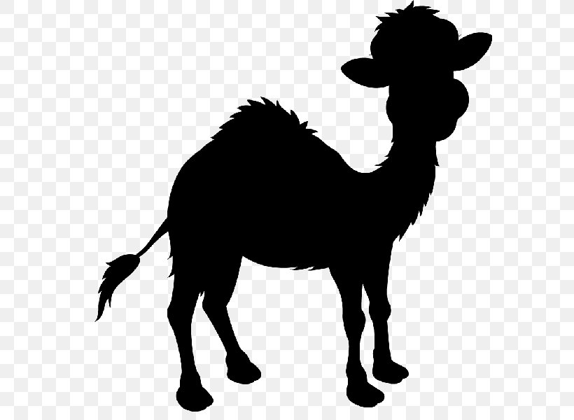 Camel Mustang Clip Art Silhouette Black, PNG, 600x600px, Camel, Animal, Black, Blackandwhite, Camelid Download Free