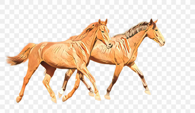 Horse Animal Figure Sorrel Mane Mare, PNG, 2624x1524px, Horse, Animal Figure, Drawing, Foal, Horse Supplies Download Free