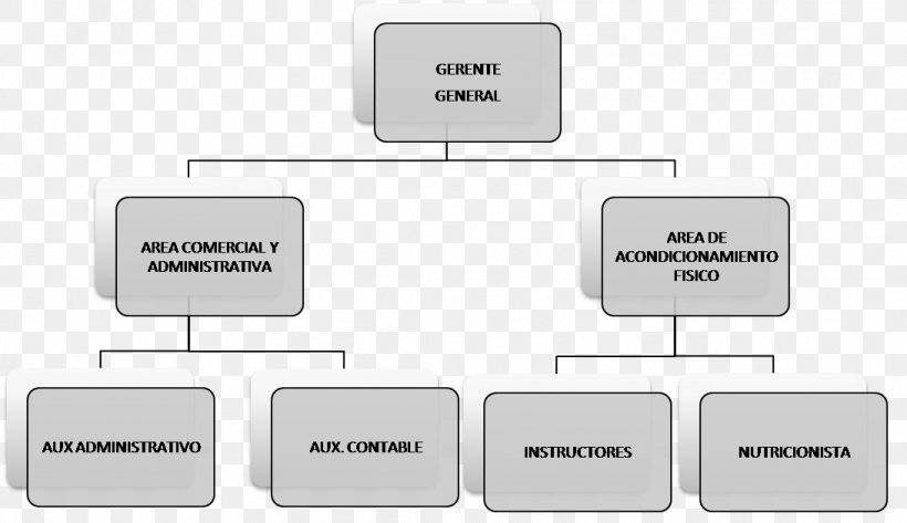 Organizational Chart Organizational Structure Fitness Centre Empresa, PNG, 1092x631px, Organizational Chart, Brand, Communication, Corporation, Diagram Download Free