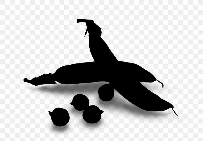 Photography Logo, PNG, 3000x2091px, Black White M, Beak, Black M, Blackandwhite, Logo Download Free