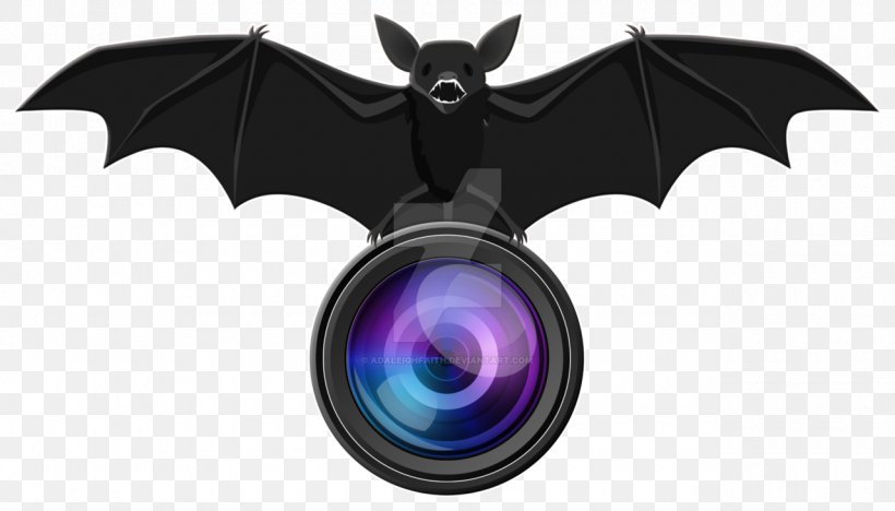 The Photographers' Gallery Photography Logo, PNG, 1280x731px, Photographers Gallery, Deviantart, Logo, Photo Manipulation, Photographer Download Free