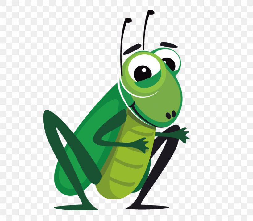 Cartoon Cricket Clip Art, PNG, 842x738px, Beetle, Amphibian, Animation, Cartoon, Cricket Download Free