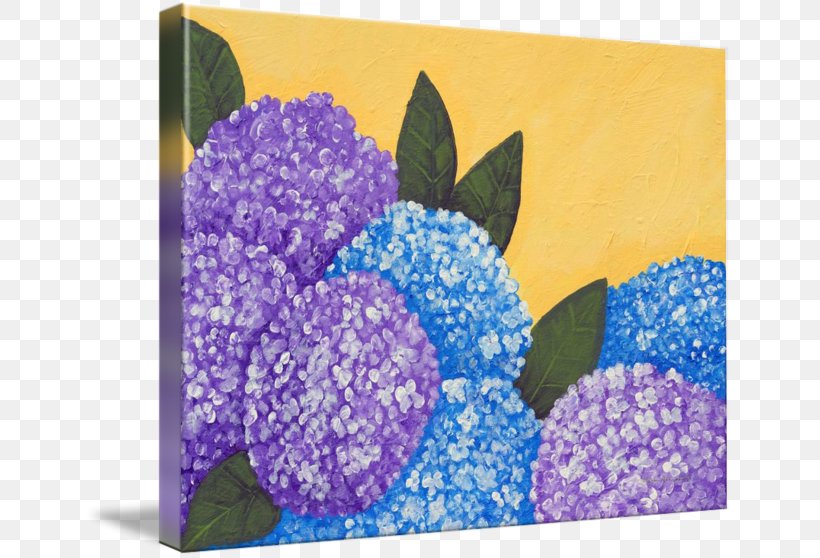 Flower Lavender Hydrangea Lilac Violet, PNG, 650x558px, Flower, Acrylic Paint, Cobalt Blue, Cornales, Floral Design Download Free