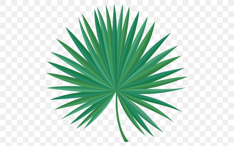 Green Saw Palmetto Extract Line Leaf, PNG, 512x512px, Green, Arecales, Grass, Leaf, Palm Tree Download Free
