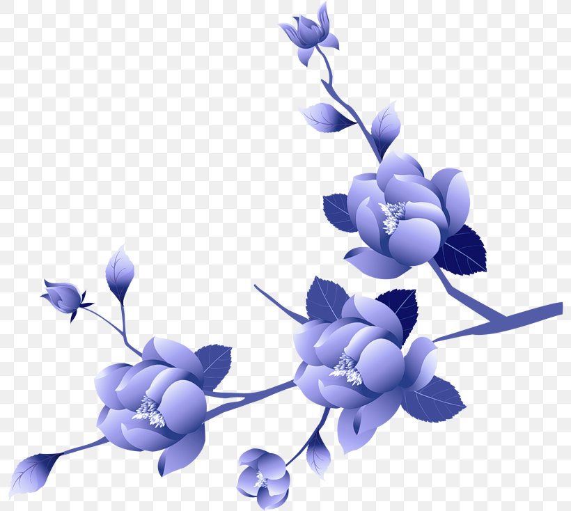 Lavender, PNG, 800x734px, Blue, Branch, Flower, Flowering Plant, Lavender Download Free
