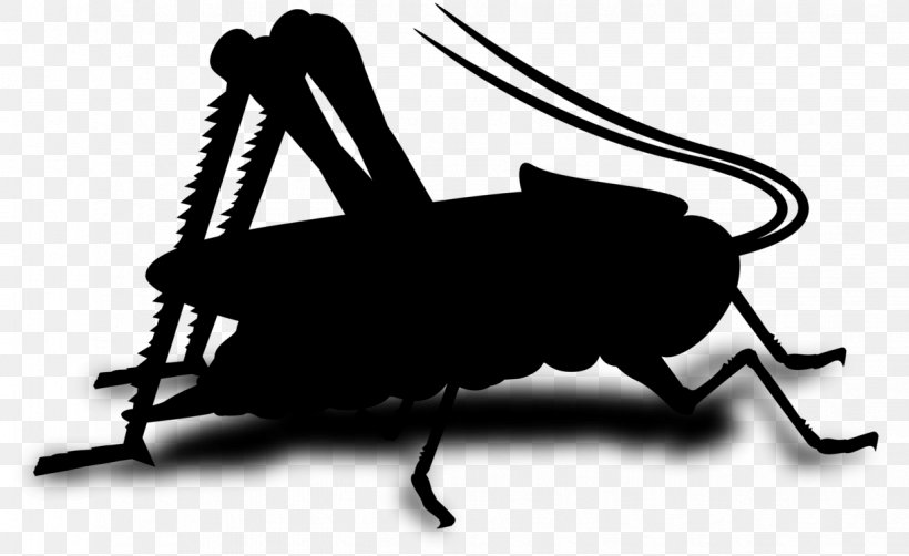 Musical Composition Song Arrangement Image GIF, PNG, 1224x750px, Musical Composition, Arrangement, Cricketlike Insect, Grasshopper, Insect Download Free
